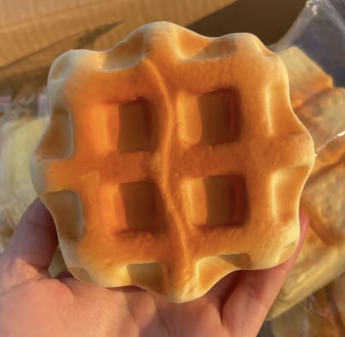 Slow Rise Waffle