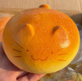 Slow Rise Cat