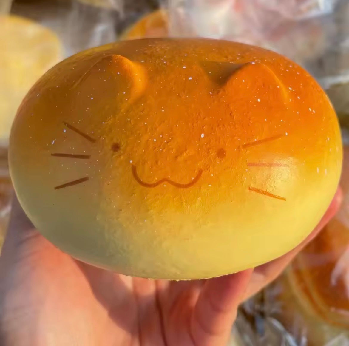 Slow Rise Cat